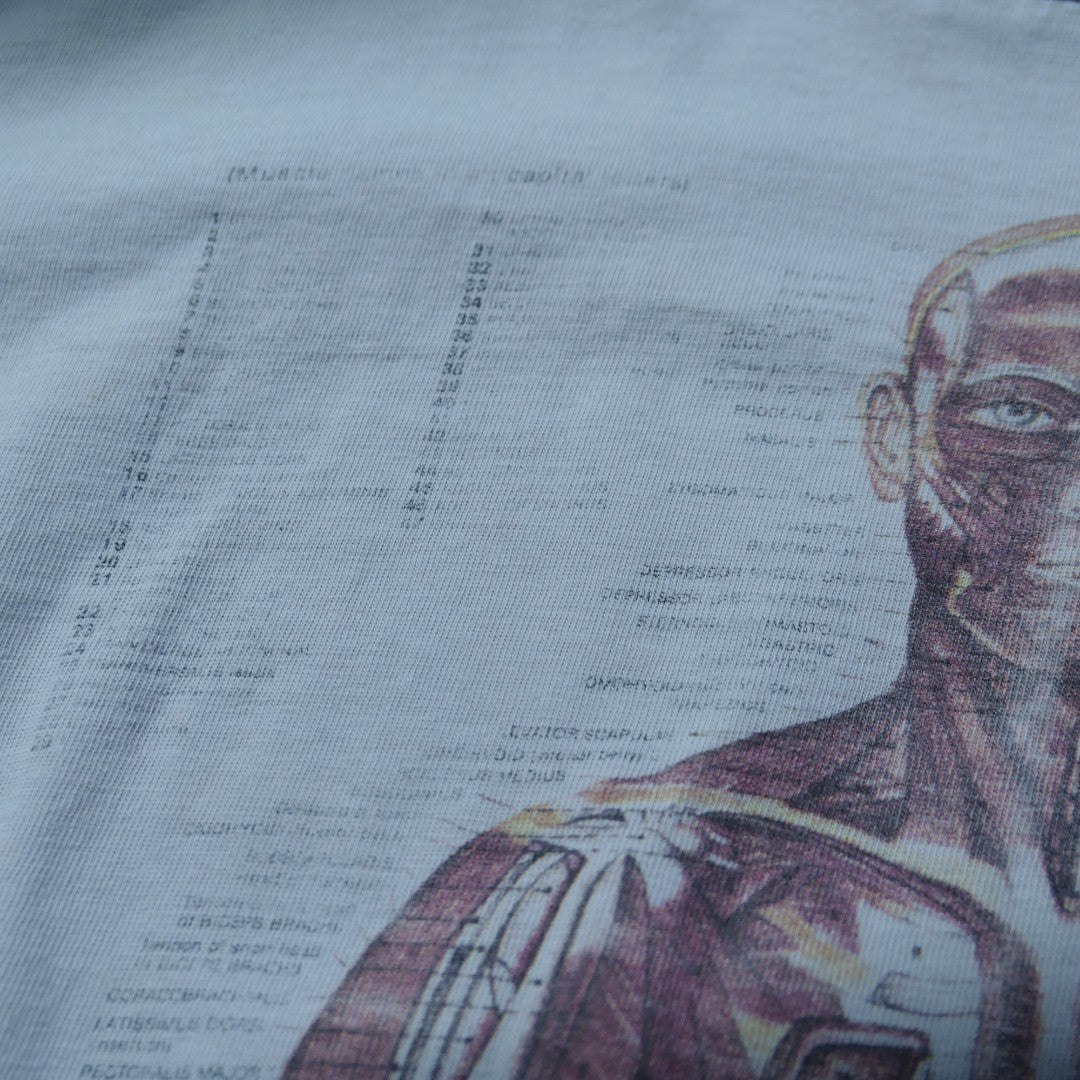 VINTAGE 90s L Art Tee -Anatomical Chart-