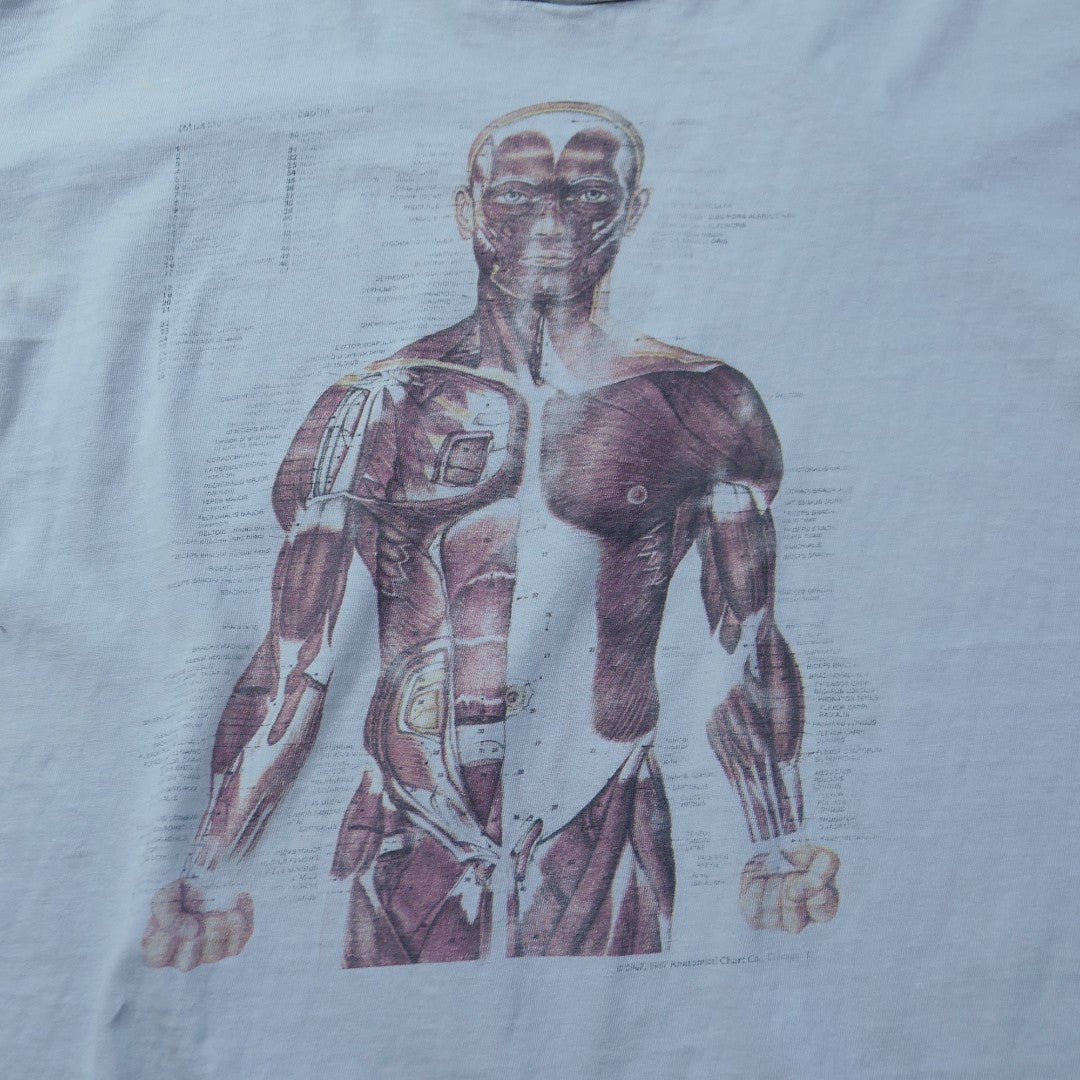 VINTAGE 90s L Art Tee -Anatomical Chart- – ユウユウジテキ