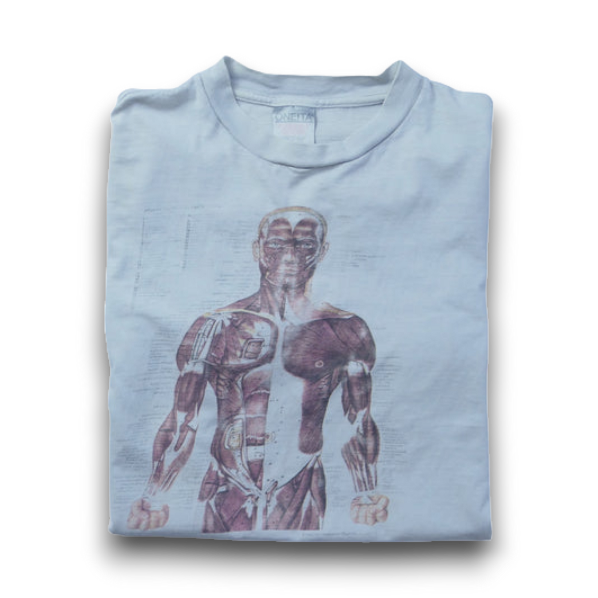 VINTAGE 90s L Art Tee -Anatomical Chart- – ユウユウジテキ